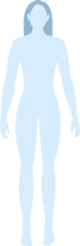 inverted triangle body type female